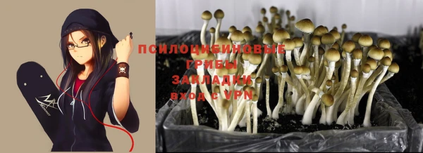 кокаин премиум Кодинск