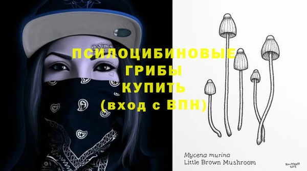 PSILOCYBIN Козельск