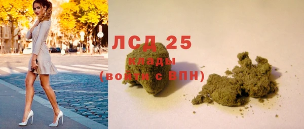 PSILOCYBIN Козельск
